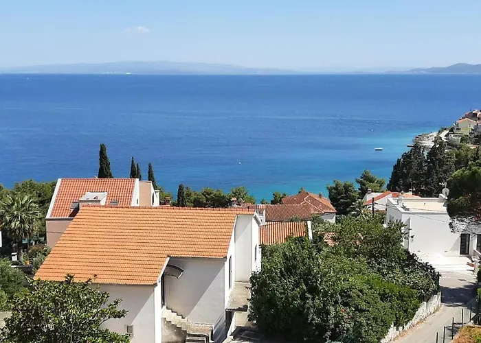 Divine Seaview تروغير